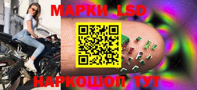 шишки Изобильный