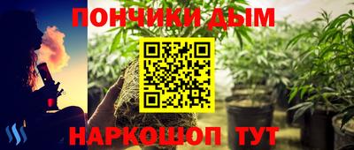 шишки Изобильный